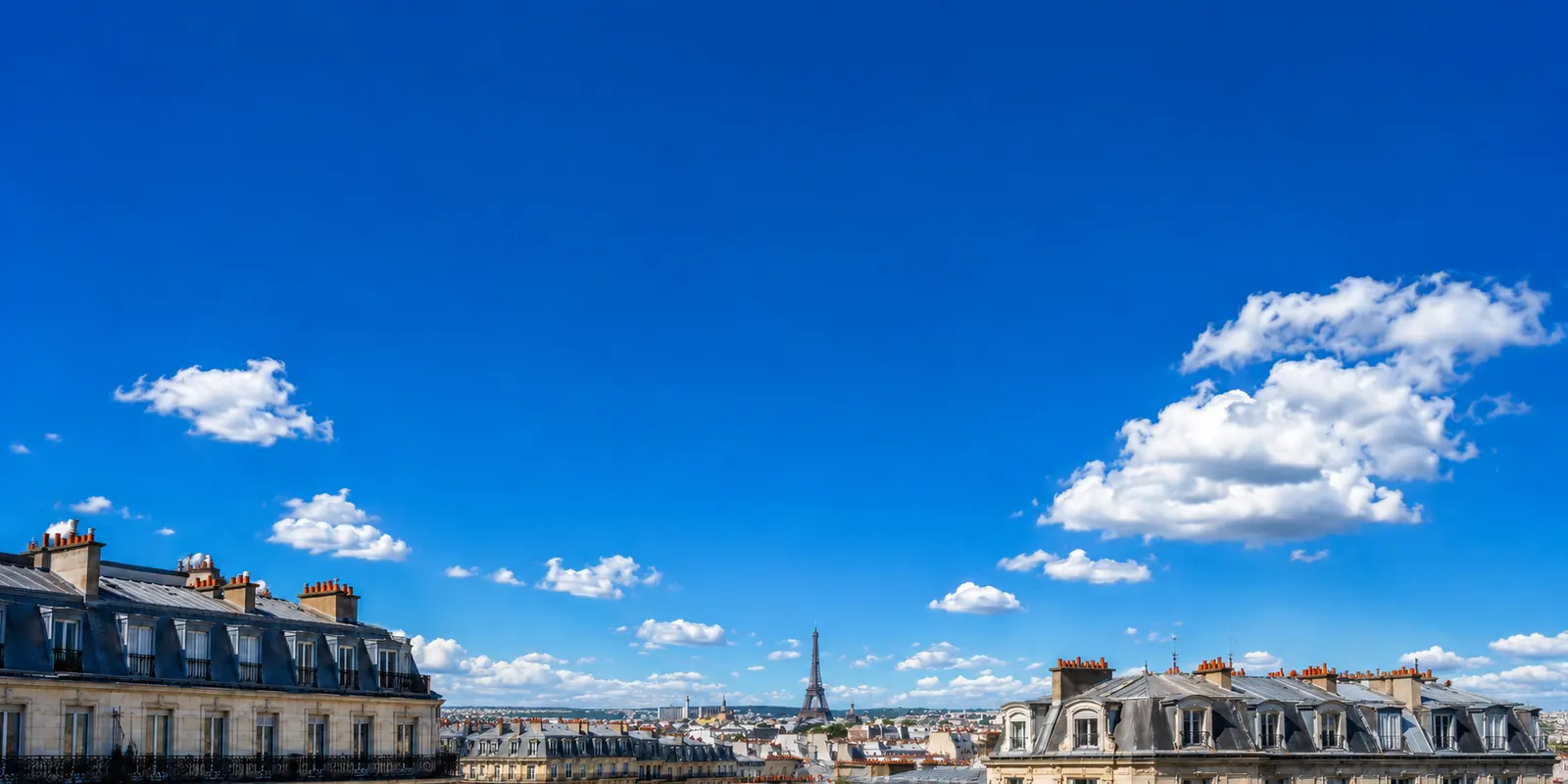 Interface Syvo : journal des appels du cabinet